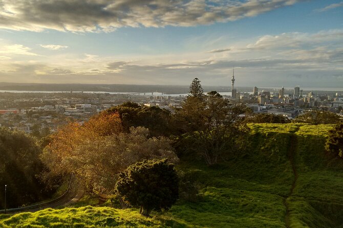Piha Beach & Wilderness Nature : PRIVATE TOUR 8 hrs - Westhaven Marina: a quick look at Auckland’s harbor life