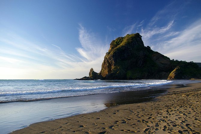 Piha Waitakere Rainforest Wine Tour from Auckland - From Auckland streets to Piha’s black sand