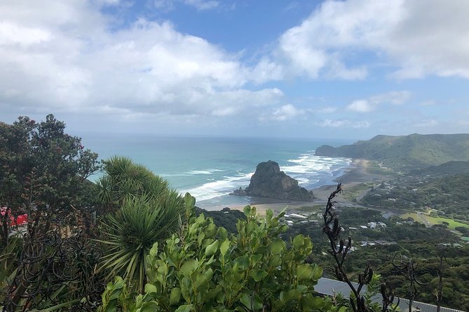Piha Waitakere Rainforest Wine Tour from Auckland - Through the Waitakere Ranges to Karekare Falls