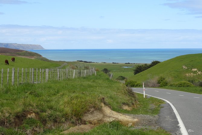 "Pinot to Palliser tour" - Guided tour to Cape Palliser vith lunch + winetasting - Why Cape Palliser makes this more than a wine tour