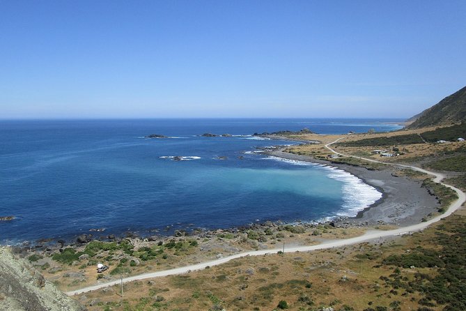 "Pinot to Palliser tour" - Guided tour to Cape Palliser vith lunch + winetasting - Returning through Lake Ferry
