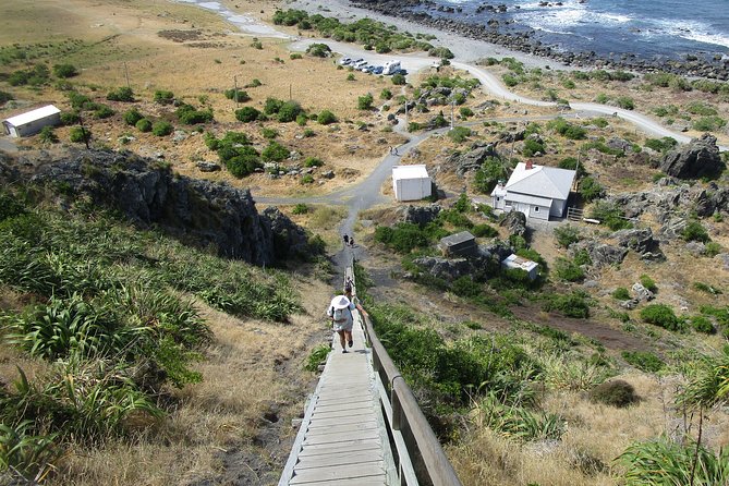 "Pinot to Palliser tour" - Guided tour to Cape Palliser vith lunch + winetasting - The value of $201.69 per person