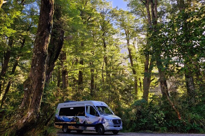 Premium Milford Sound Small Group Tour & Cruise from Queenstown - Lake Gunn and the Hollyford River show Fiordland at close range