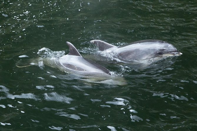 Premium Milford Sound Small Group Tour & Cruise from Queenstown - Small-group comfort, seats, and practical limits