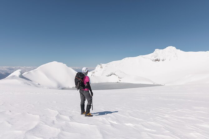 Premium Mt Ruapehu Summit Plateau Guided Group Hike - The value of the NZD 315.25 price