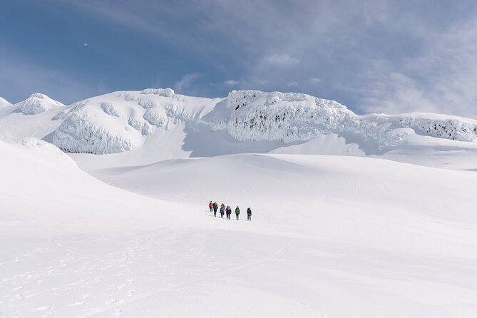 Premium Mt Ruapehu Summit Plateau Guided Group Hike - The guide makes the hard parts manageable