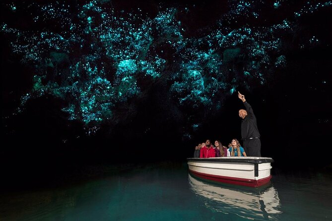 Private 2 Day Tour: Hobbiton, Waitomo, Rotorua Geothermal & Hamilton Gardens - Who should book this private New Zealand tour?