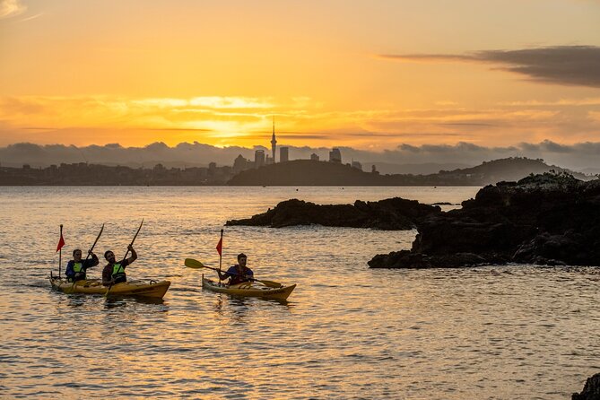 Private 2 Hour Surf Lesson - Who should book this Te Arai surf lesson