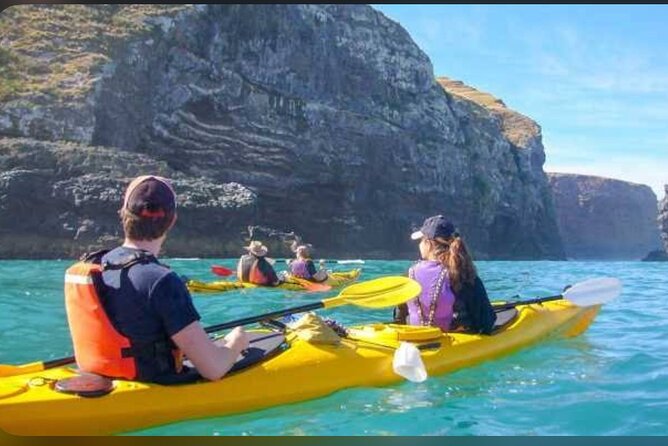 Private Akaroa Day Tour From Christchurch - The scenic drive across Banks Peninsula