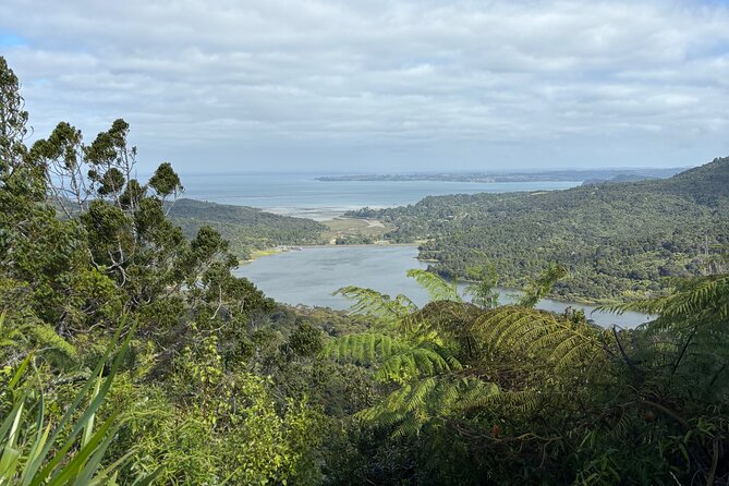 Private Auckland best Spots + Piha beach and rainforest day Tour - Why this private Auckland route works