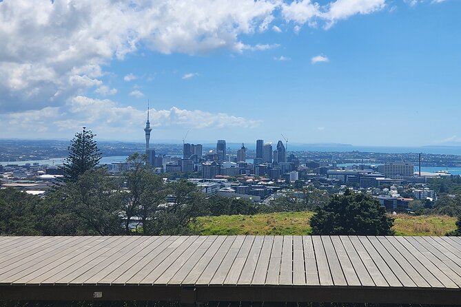 Private Auckland best Spots + Piha beach and rainforest day Tour - The Wintergardens in Auckland Domain