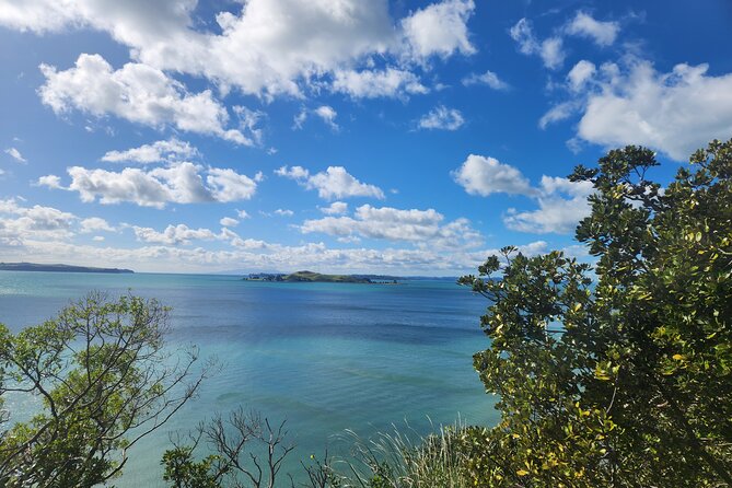 Private Auckland best Spots + Piha beach and rainforest day Tour - Mission Bay gives you time to eat