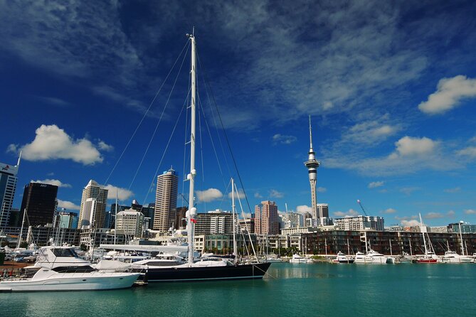 Private Auckland City Highlights Tour - Key points at a glance