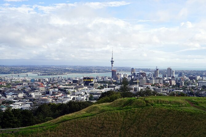 Private Auckland City Highlights Tour - The Winter Gardens offer a quiet half-hour