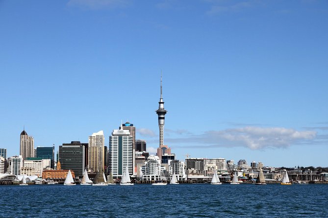 Private Auckland City Tour For Small Group in a luxury vehicle. - Key points at a glance