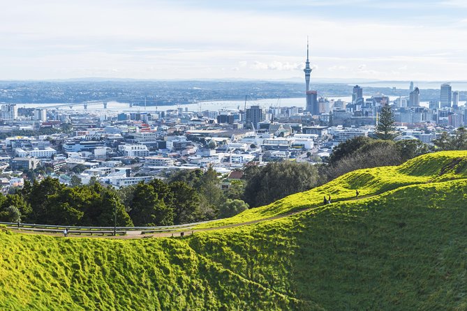Private Auckland City Tour Including Auckland Tour House Visit - Auckland viewpoints without the usual coach-tour shuffle
