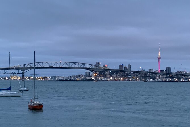 Private Auckland City Tour Including Auckland Tour House Visit - What the private vehicle adds