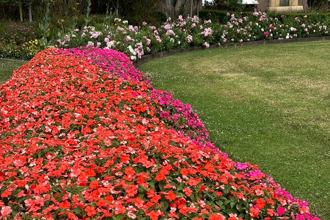 Private Auckland City Tour Including Auckland Tour House Visit - Is $465.43 good value for six?