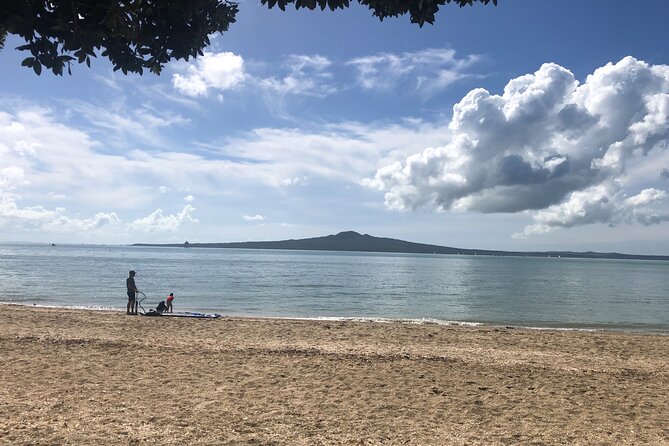 Private Auckland Half Day Tour - What the guide adds to the drive