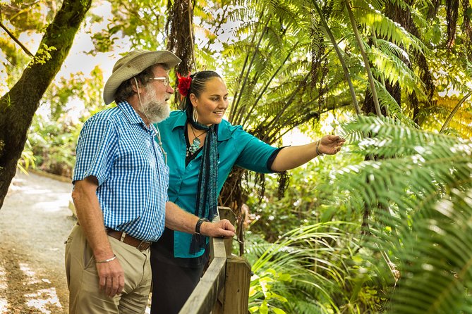 Private Auckland Half Day Tour - Who will get the most from this tour?
