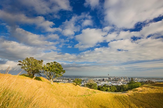 Private Auckland Half Day Tour - Tamaki Drive and the Hauraki Gulf