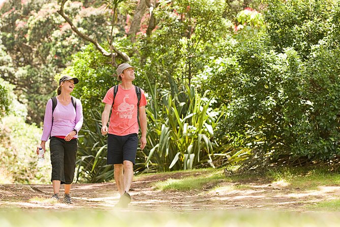 Private Auckland Luxury Tour - Tamaki Drive, Mission Bay, and the harbor side