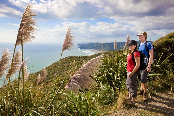 Private Auckland Luxury Tour - Mount Eden, Auckland’s best city overlook