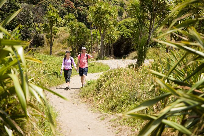 Private Auckland Luxury Tour - Parnell and the city neighborhoods