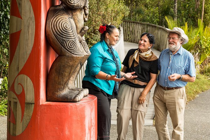 Private Auckland Maori Luxury Tour - What the guide adds to the scenery