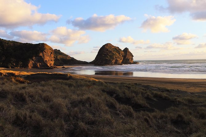 Private Auckland's West Coast - Piha/ Muriwai - Wild West Tour - Piha’s black sand and powerful surf