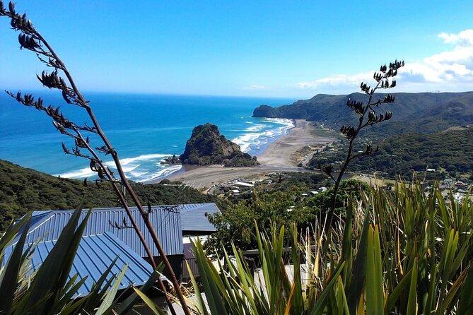 Private Auckland Sightseeing - Full Day/Half Day Hidden Gems Tour - Key points to know before you book
