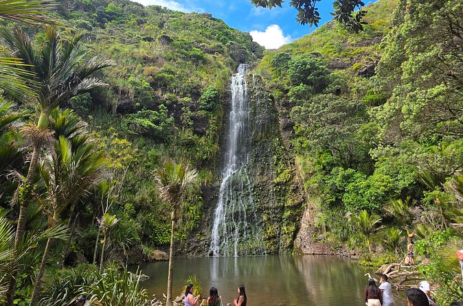 Private Auckland West Coast Tour Piha Beach and Karekare Falls - How much value do you get for $155.14?