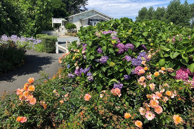 Private Auckland Wine & Dine Matakana Country & Cuisine - Matakana Village and the local food trail