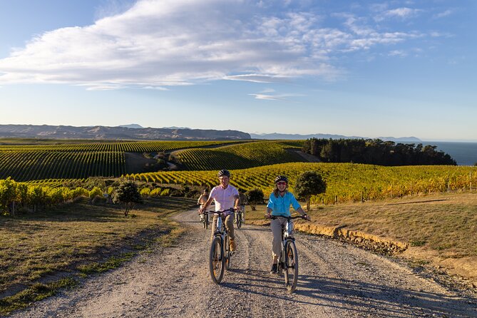 Private Biking Wine Tour (full day) in the Marlborough Region - Five to six wineries, with room for more than a tasting flight