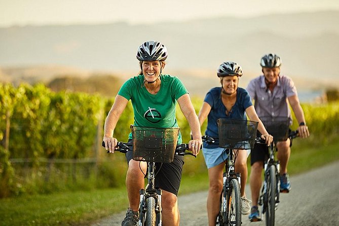 Private Biking Wine Tour (full day) in the Marlborough Region - A private day with a small maximum group