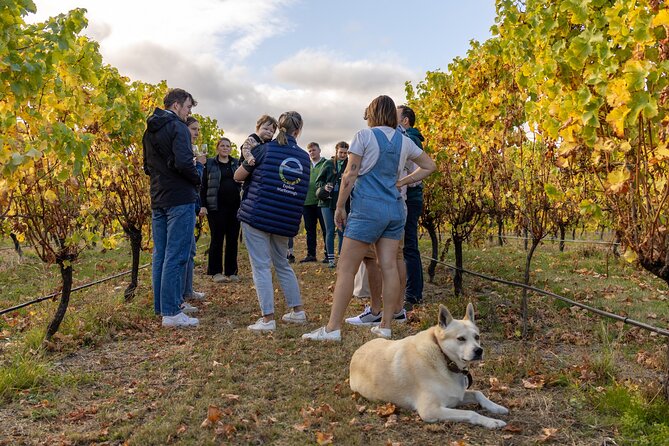 Private Biking Wine Tour (full day) in the Marlborough Region - Practical details that can affect your decision