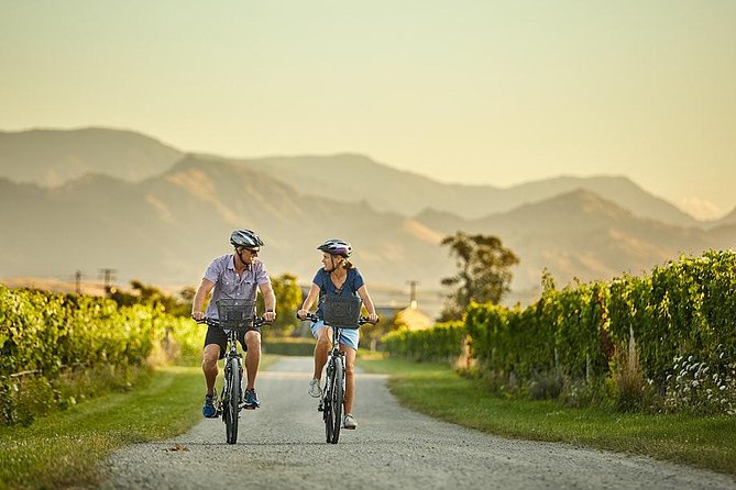 Private Biking Wine Tour (full day) in the Marlborough Region - The included wine experience adds depth