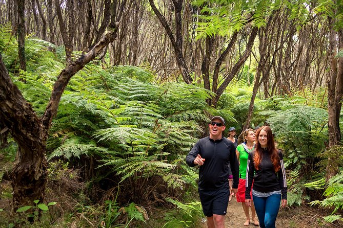Private boat charter in Abel Tasman National Park - Is $1,985.83 good value for your group?