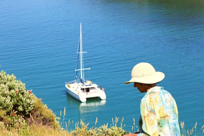 Private Catamaran Full Day Sailing Charter | Bay Of Islands - Two hours at a sheltered island