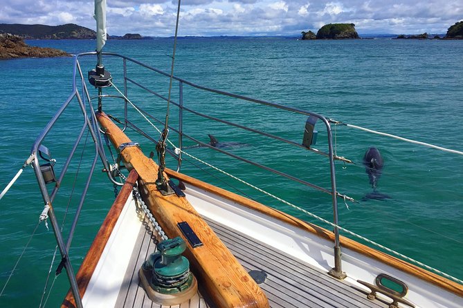 Private Charter Bay of Islands - Key points to know before sailing