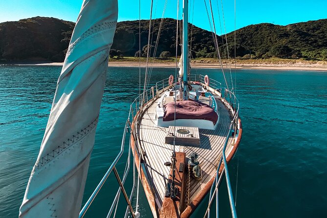 Private Charter Bay of Islands - What the 5.5-hour schedule really gives you