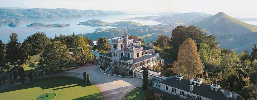 Private Dunedin City Highlights and Otago Peninsula Day Tour - Key points to know before booking