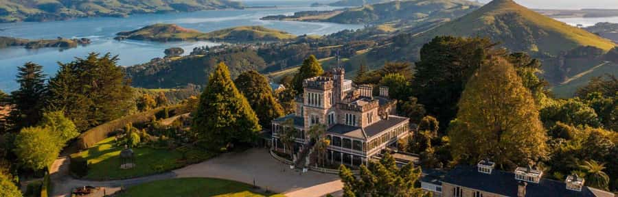 Private Dunedin City Highlights and Otago Peninsula Day Tour - The road to Sandfly Bay changes the mood