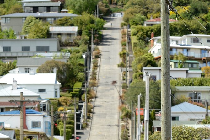 Private Dunedin & Otago Peninsula Day Tour Up to 4 - Otago University and Dunedin’s built character