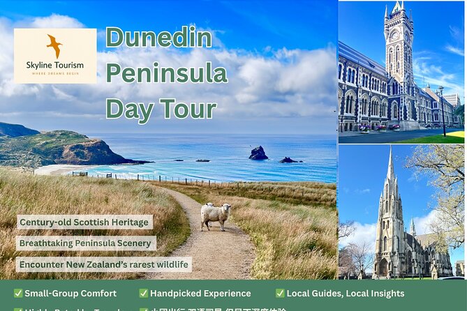 Private Dunedin & Otago Peninsula Day Tour Up to 4 - Baldwin Street is a quick, amusing stop