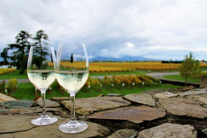 Private Excursion: Scenic and Seascape Delights from Picton - The Vines Village begins the tasting trail