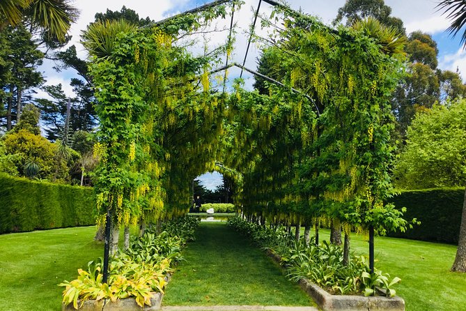 Private Guided Tour of Dunedin City Heritage and Unique Wildlife and Scenery - Reaching the Royal Albatross Centre