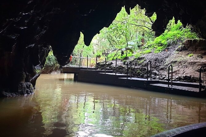 Private Hobbiton & Blue Springs Day Trip from Auckland - A practical plan for making the day easier