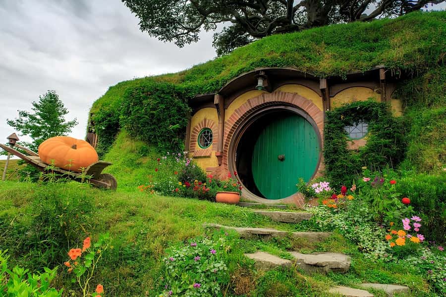 Private Hobbiton & BlueSprings & Redwood forest fromAuckland - Leaving Auckland for Hobbiton