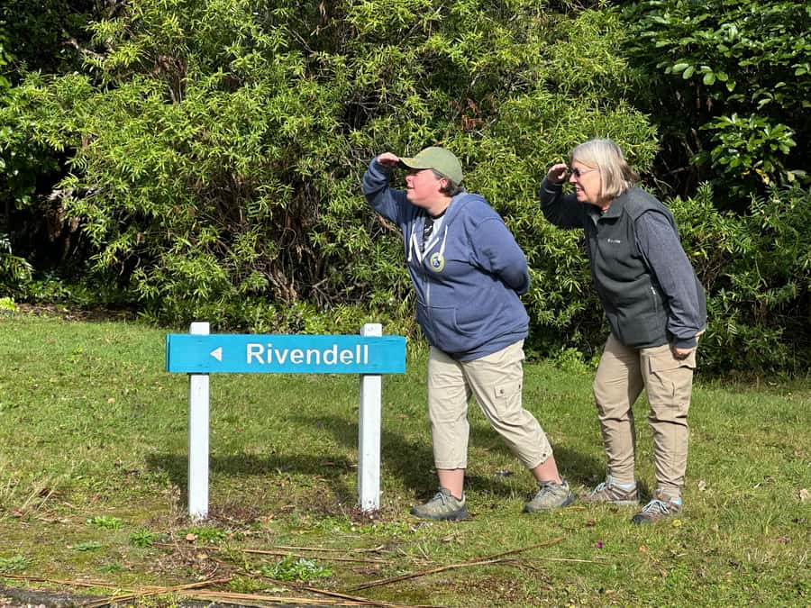 Private Lord of the Rings Tour Wellington with Lunch - Why this Wellington tour works for Tolkien fans